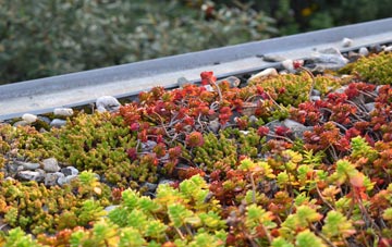 the cost of Wrentham green roof installation