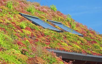 Wrentham living roof systems